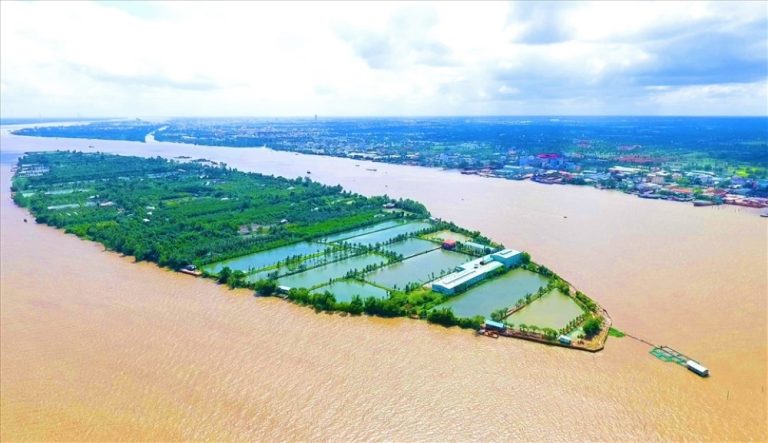 Cồn Sơn Cần Thơ – Nơi Người Dân Địa Phương Trở Thành Hướng Dẫn Viên Du Lịch